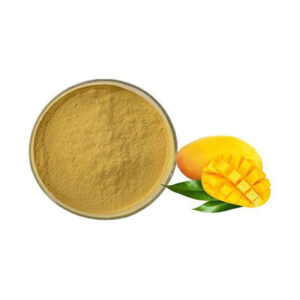 Mango Fruit Powder